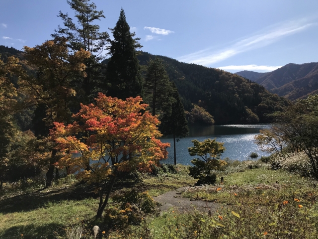 黒木さん（勤務地：福井県福井市）